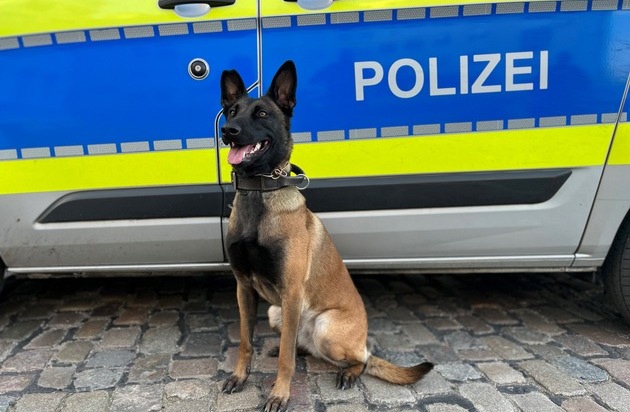 Hilde.jpg